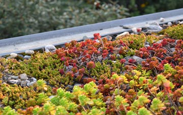 the cost of Millisle green roof installation