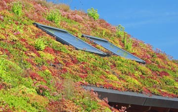 Millisle living roof systems