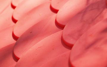 Millisle plastic roof costs