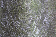 Millisle fibreglass roof work